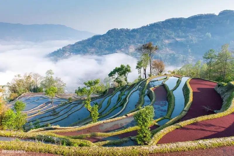 Chiêm ngưỡng 19 bức ảnh ruộng bậc thang đẹp đến nghẹt thở 18 wanderlust_tips_chiem_nguong_19_buc_anh_tuyet_dep_ve_ruong_bac_thang_11