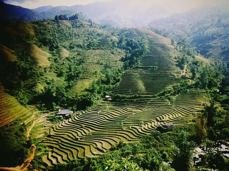 Chiêm ngưỡng 19 bức ảnh ruộng bậc thang đẹp đến nghẹt thở 7 wanderlust_tips_chiem_nguong_19_buc_anh_tuyet_dep_ve_ruong_bac_thang_12