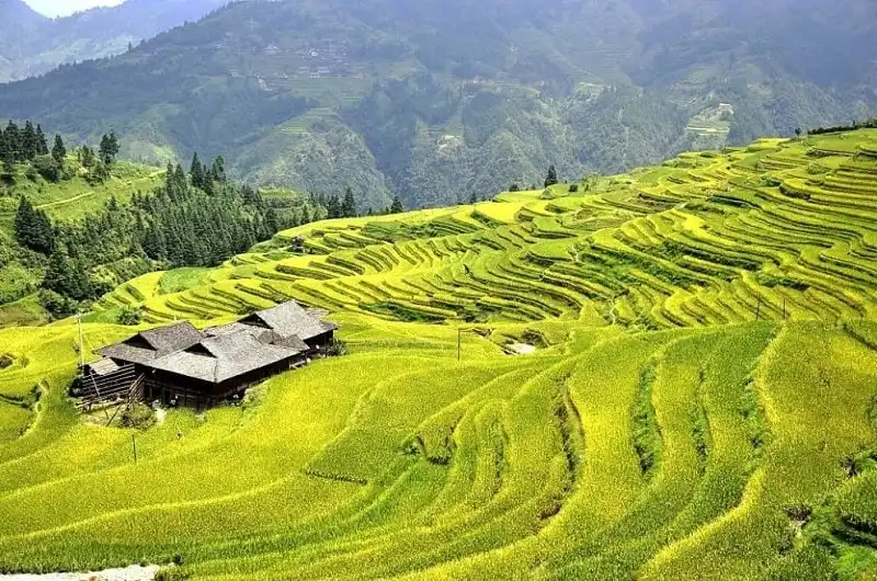 Chiêm ngưỡng 19 bức ảnh ruộng bậc thang đẹp đến nghẹt thở 20 wanderlust_tips_chiem_nguong_19_buc_anh_tuyet_dep_ve_ruong_bac_thang_15
