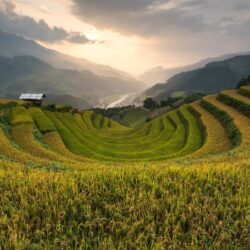 wanderlust tips chiem nguong 19 buc anh tuyet dep ve ruong bac thang 16