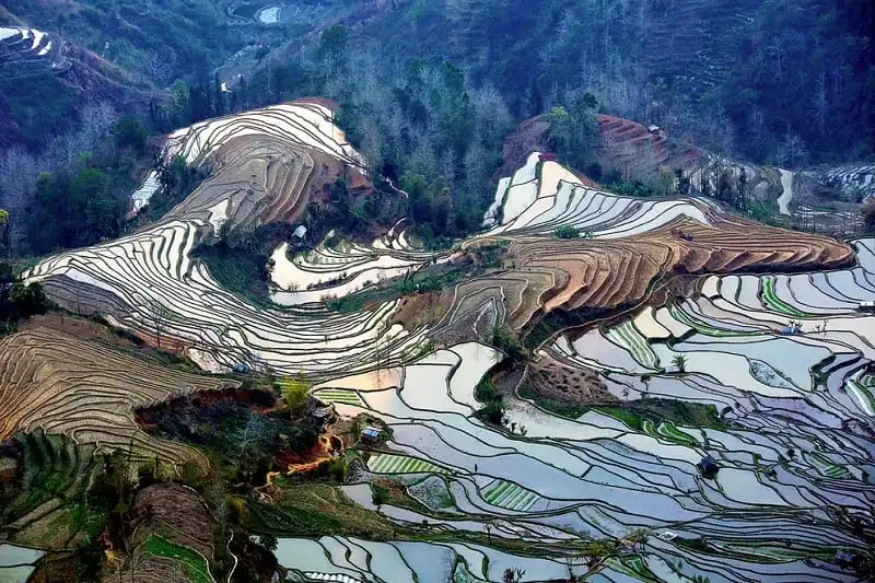 Chiêm ngưỡng 19 bức ảnh ruộng bậc thang đẹp đến nghẹt thở 10 wanderlust_tips_chiem_nguong_19_buc_anh_tuyet_dep_ve_ruong_bac_thang_2