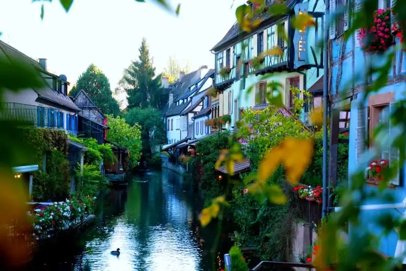Khám phá Colmar: "Tiểu Venice" của nước Pháp 9 wanderlust_tips_colmar_tieu_venice_phap_5