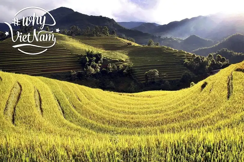 Khởi động chương trình quảng bá du lịch quốc gia #WhyVietnam 6 wanderlust_tips_khoi_dong_chuong_trinh_why_vietnam_4