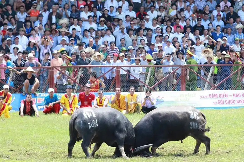 wanderlust_tips_kinh_nghiem_du_lich_hai_phong_7