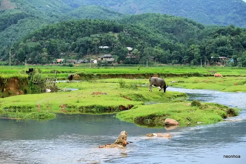 Kinh nghiệm du lịch Phú Thọ 8 wanderlust_tips_kinh_nghiem_du_lich_phu_tho_3