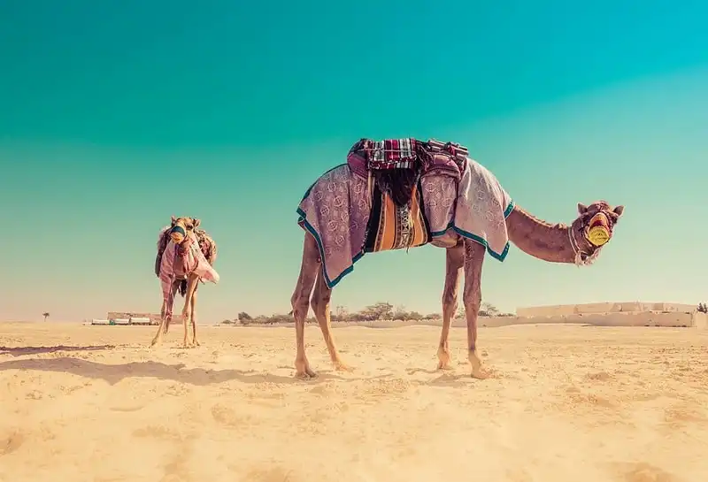 from Trey Ratcliff at http://www.StuckInCustoms.com