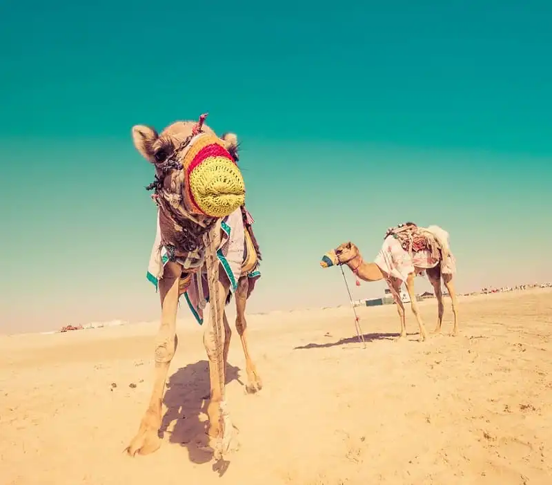 from Trey Ratcliff at http://www.StuckInCustoms.com