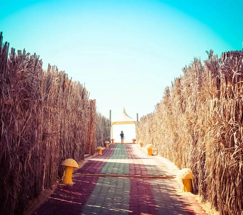 wanderlust tips long lay Qatar 16 1