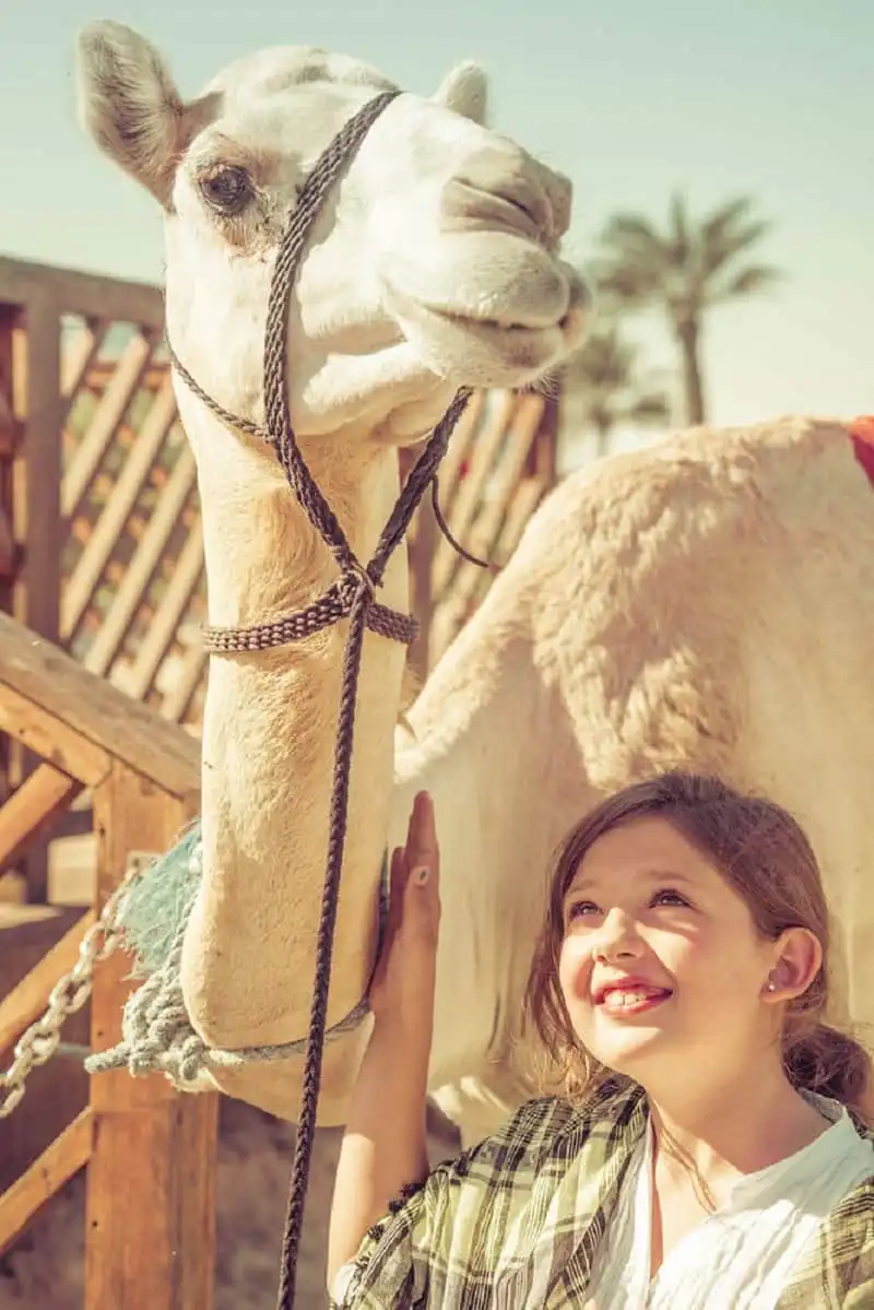 from Trey Ratcliff at http://www.StuckInCustoms.com