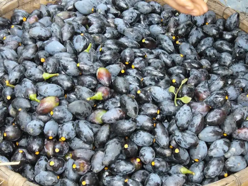 Những đặc sản không thể bỏ qua khi đến Thái Nguyên 10 wanderlust_tips_nhung_dac_san_khong_the_bo_qua_o_thai_nguyen_6