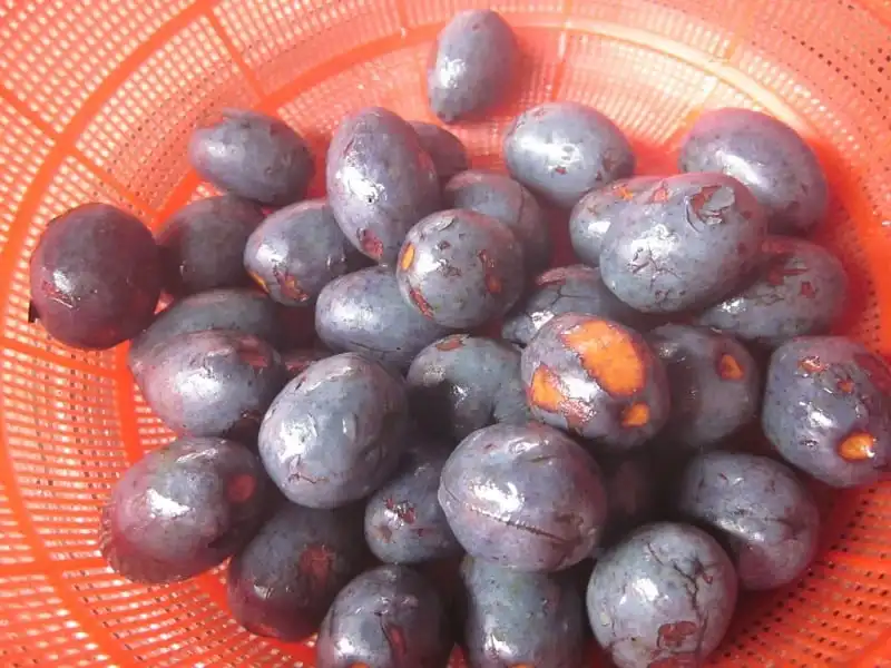 wanderlust_tips_nhung_mon_an_khong_the_bo_qua_khi_den_phu_tho_8