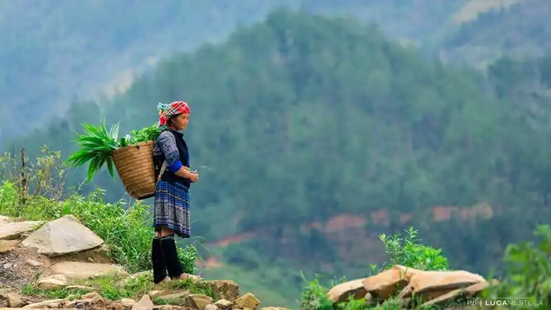 wanderlust_tips_why_vietnam_1