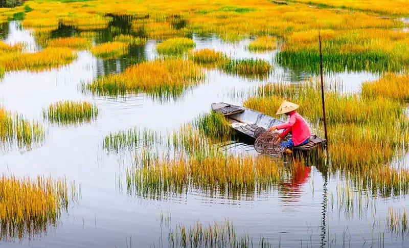 Bạn Sabrina Ji chia sẻ: “Tôi yêu Việt Nam bởi cái đẹp xanh mướt, chẳng cần đi đâu xa, chỉ cần bước chân ra khỏi ngỏ đã là thiên nhiên hung vĩ, đã là những bức tranh chân thực sống động trãi dài. Chỉ cần là một ruộng ngô, một ruộng đậu với má người Mông, người Thái đội cỏ trên lưng; chỉ cần là một dòng dông, một bờ ruộng có dăm ba đứa trẻ, đàn trâu con cũng trở nên hữu tình đến lạ…” 