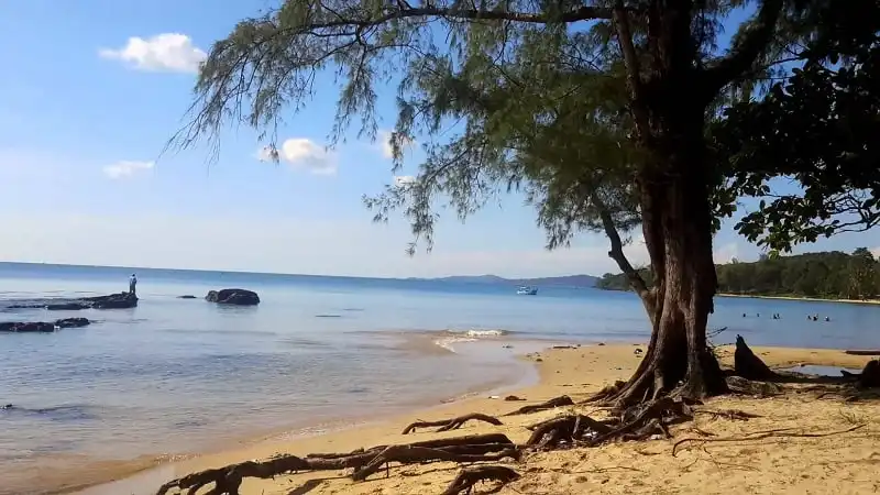 wanderrlust_tips_8_diem_nen_di_buoi_toi_phu_quoc_6