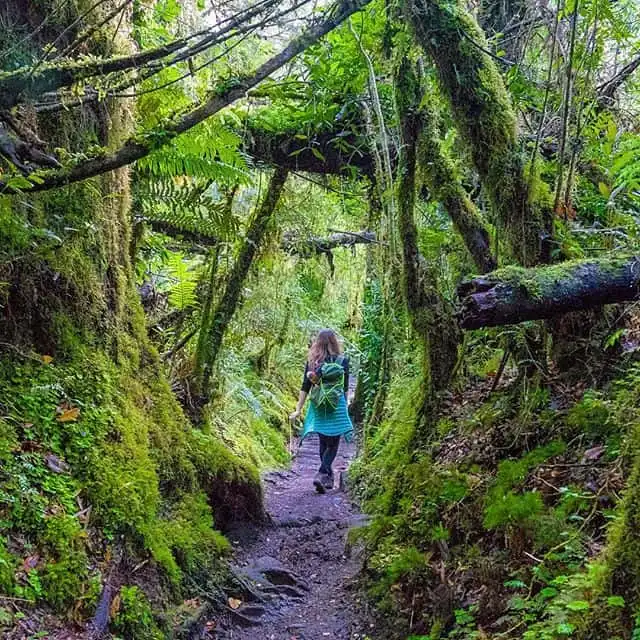 wanderust_tips_bo_viec_ngan_hang_de_di_du_lich_20