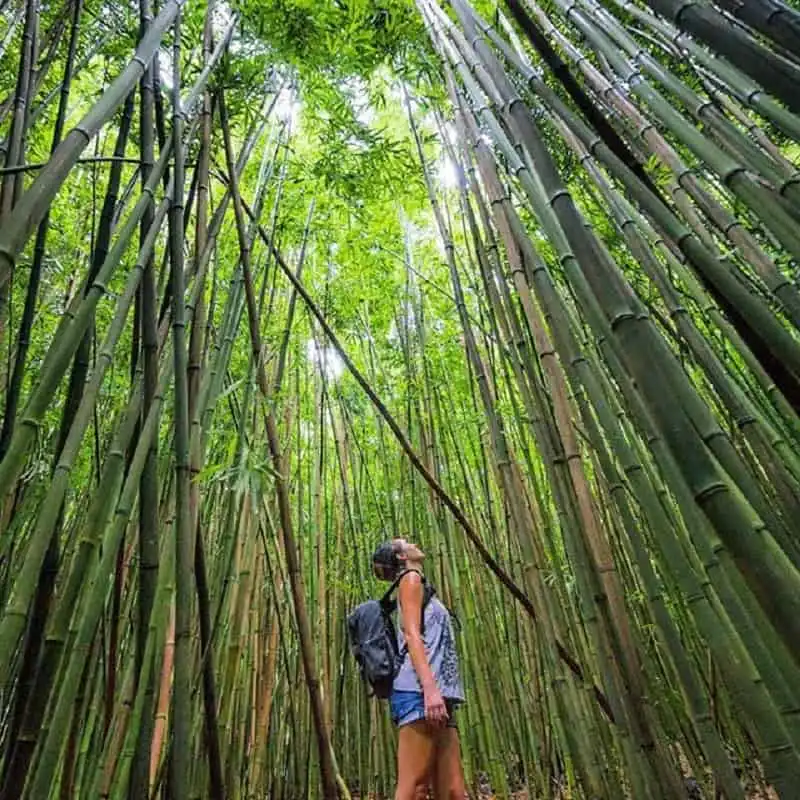 wanderust_tips_bo_viec_ngan_hang_de_di_du_lich_4