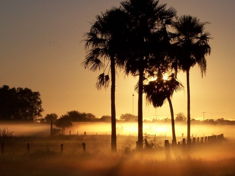 Kinh nghiệm du lịch Paraguay - trải nghiệm một Nam Mỹ đích thực 5 Wanderlust tips Kinh nghiem du lich Paraguay trai nghiem mot Nam My dich thuc 0