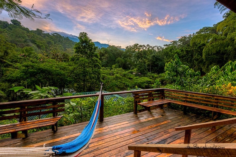 Khách sạn nhà cây đẹp như mơ ở Costa Rica