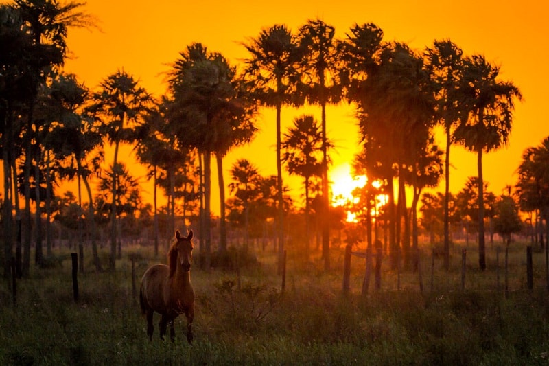 wanderlust tips 16 su that thu vi ve Paraguay co the ban chua biet 000