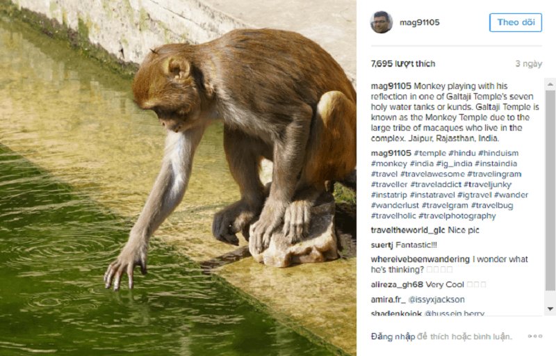 Những hashtag du lịch phổ biến nhất Instagram