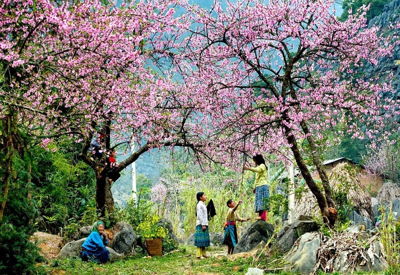 Vietrantour khuyến mãi đặc biệt tri ân khách hàng dịp năm mới 5 wanderlust tips vietran tour khuyen mai mua tour tet 1