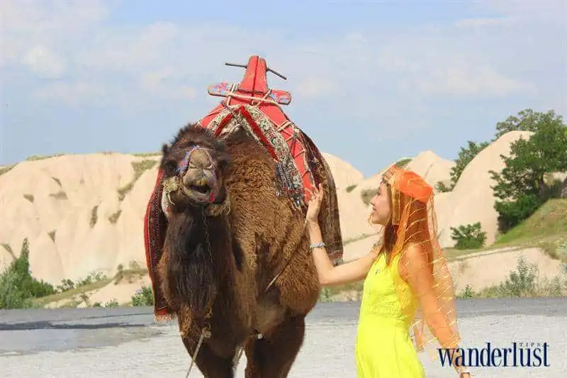 03wanderlust_tips_tey_cindy_hanh_trinh_2017_11