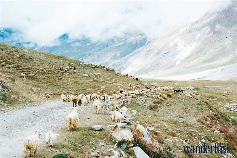 Travel Blogger Nhị Đắng và hành trình 2017 6 07wanderlust_tips_blogger_nhi_dang_hanh_trinh_2017_6