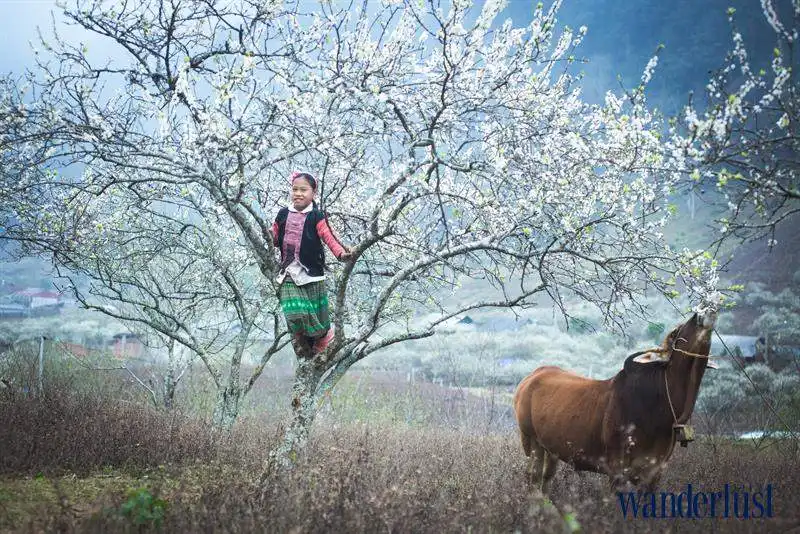 Bốn mùa phiêu du 8 11wanderlust_tips_bon_mua_phieu_du_4