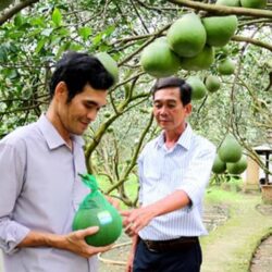 wanderlust tips le hoi huong buoi bach dang tai binh duong 1