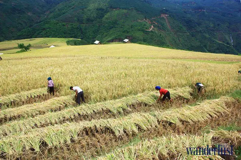 Bốn mùa phiêu du 15 16wanderlust_tips_bon_mua_phieu_du_9