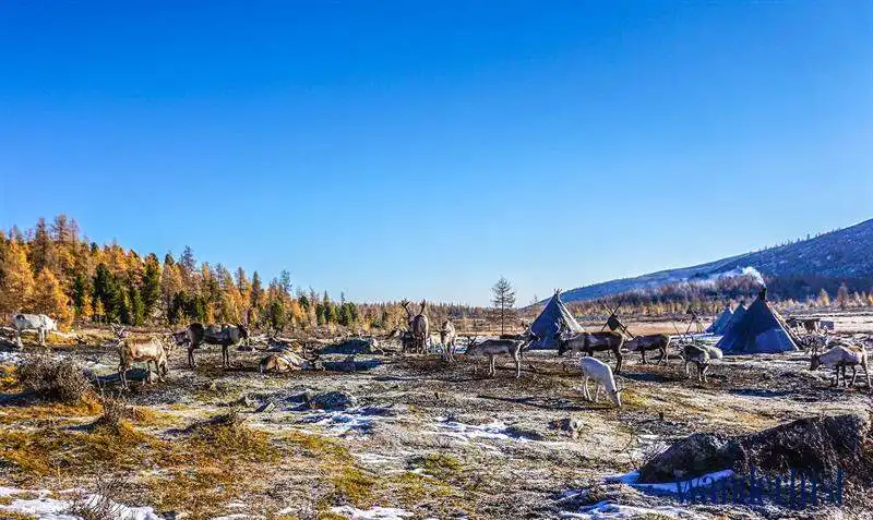 1wanderlust_tips_hanh_trinh_den_voi_tsaatan_1