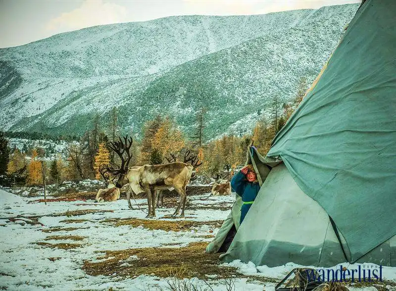 1wanderlust_tips_hanh_trinh_den_voi_tsaatan_7