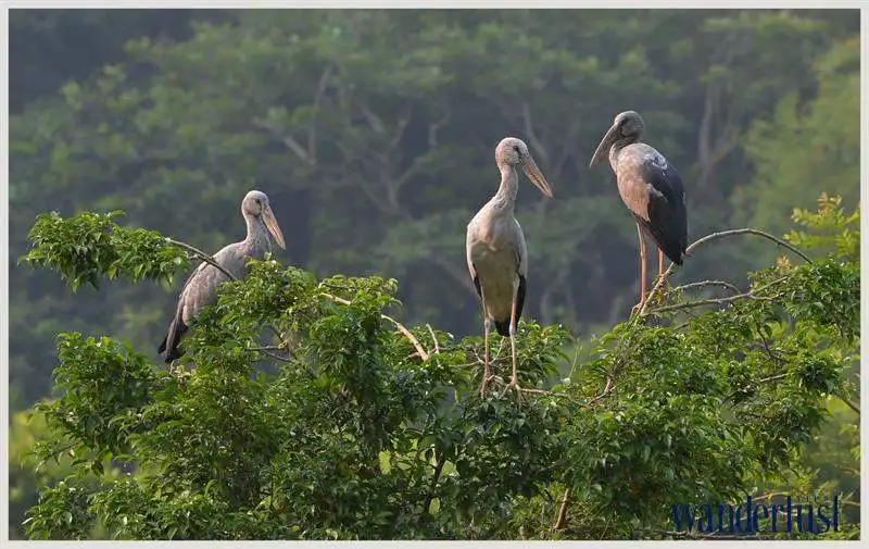 2wanderlust_tips_8_diem_nen_di_o_ninh_binh_vao_buoi_chieu_5