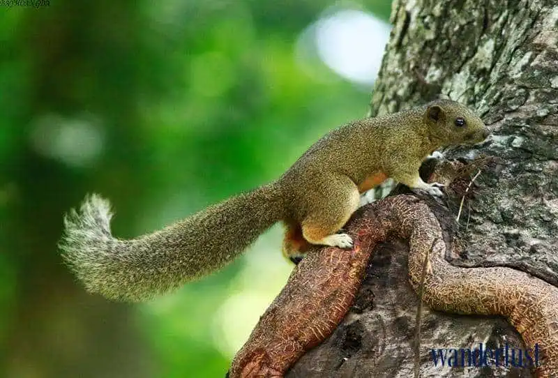 2wanderlust_tips_gary_leong_2