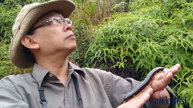 3wanderlust_tips_gary_leong_3