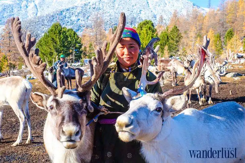 3wanderlust_tips_hanh_trinh_den_voi_tsaatan_9