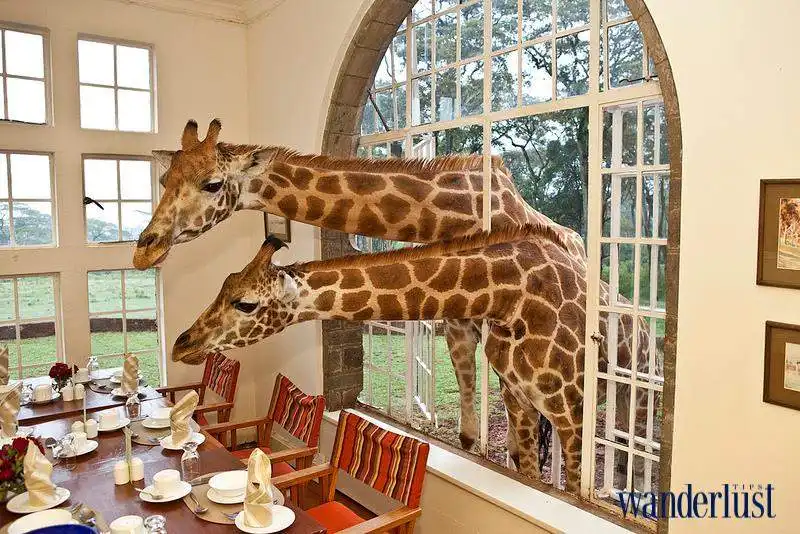 3wanderlust_tips_kinh_nghiem_du_lich_nairobi_3