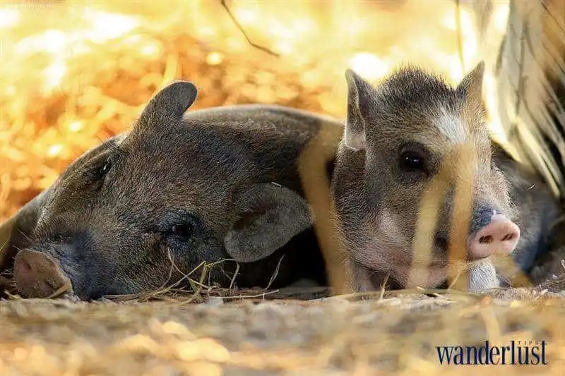 4wanderlust_tips_gary_leong_4