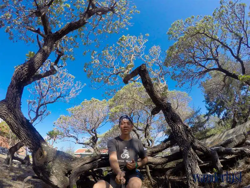 5wanderlust_tips_blogger_ngo_tran_hai_an_5