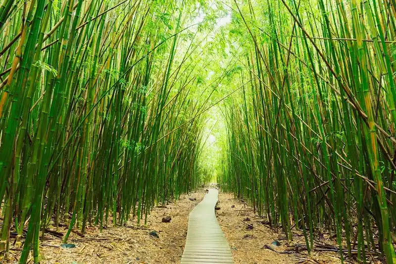 11 điểm đến kỳ thú nhất trên thế giới (phần 1) 6 Wanderlust_tips_11-diem-den-ngoan-muc-nhat-the-gioi-1