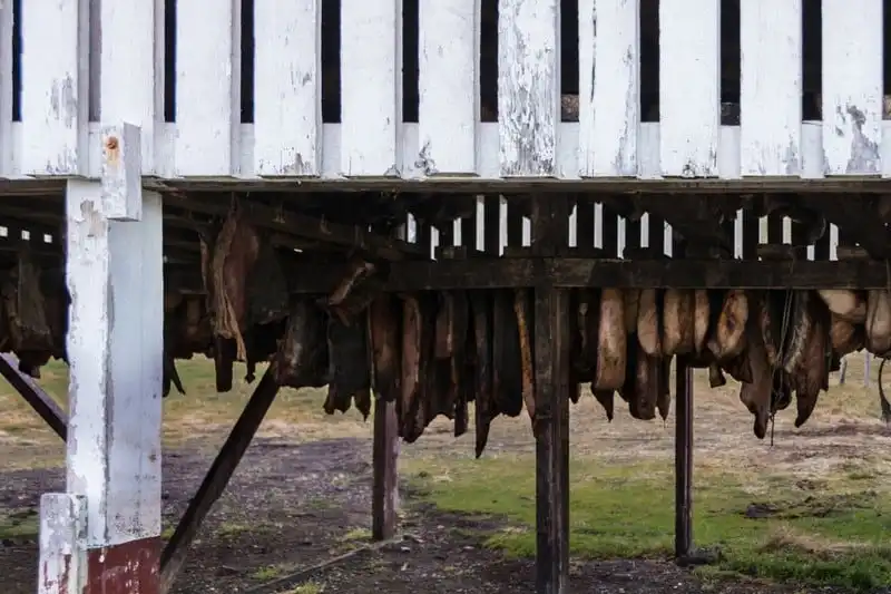 9 món ăn du khách nhất định phải thử khi tới Iceland 6 wanderlust-tips-9-mon-an-du-khach-nhat-dinh-phai-thu-khi-toi-iceland-1