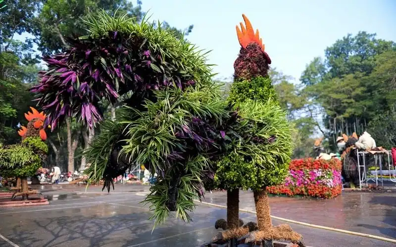 wanderlust-tips-an-tuong-trang-tri-don-tet-tai-cong-vien-thong-nhat-2