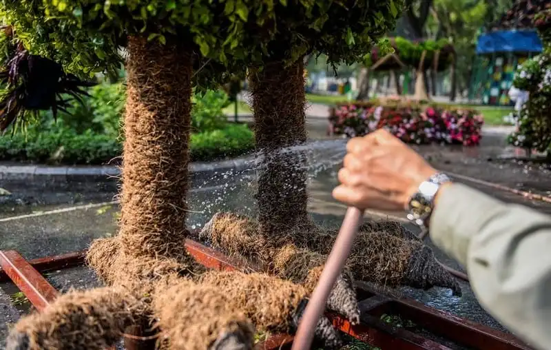 wanderlust-tips-an-tuong-trang-tri-don-tet-tai-cong-vien-thong-nhat-3