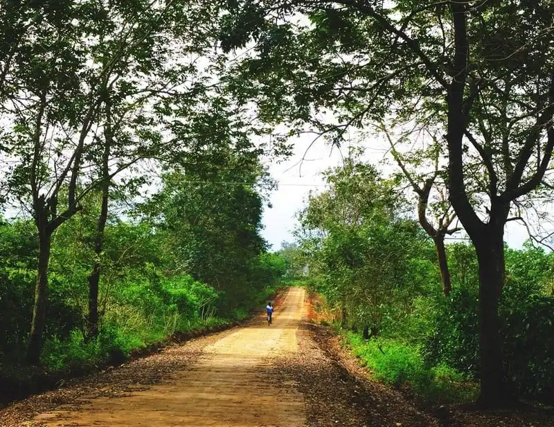 wanderlust-tips-cung-duong-phuot-tuyet-dep-thuong-bi-bo-qua-6