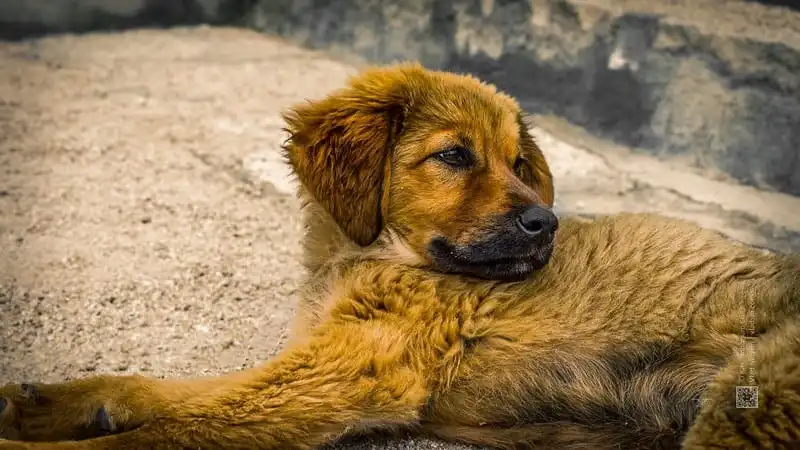 wanderlust-tips-cuoc-song-doi-thuong-o-tay-tang-6