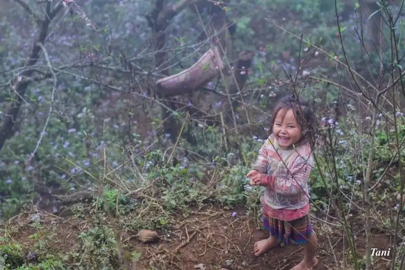 wanderlust-tips-dip-can-tet-dao-phai-no-hong-ben-nhung-suon-nui-tay-bac-6