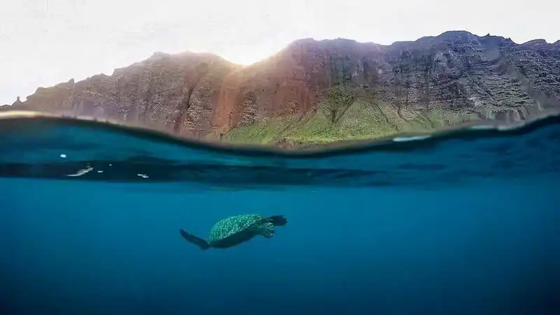 wanderlust-tips-gioi-tre-phat-sot-voi-trao-luu-chup-anh-hai-the-gioi-11