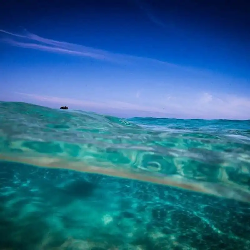 wanderlust-tips-gioi-tre-phat-sot-voi-trao-luu-chup-anh-hai-the-gioi-9