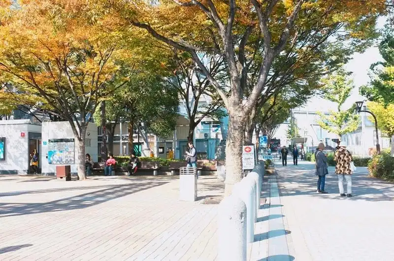 Hành trình 15 ngày “du hành” nước Nhật đẹp như mơ (Phần cuối) 7 wanderlust-tips-hanh-trinh-15-ngay-du-hanh-nuoc-nhat-dep-nhu-mo-71