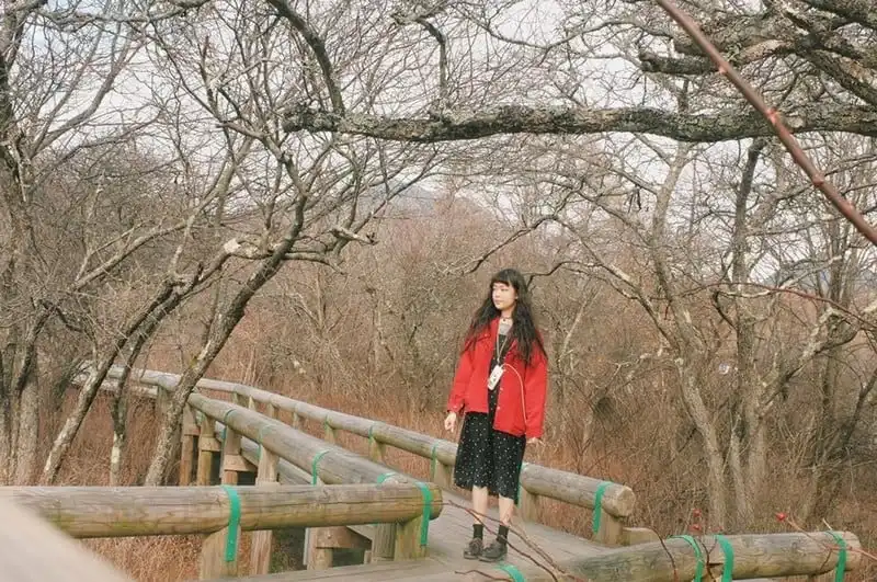 wanderlust-tips-hanh-trinh-du-hanh-nuoc-nhat-15-ngay-dep-nhu-mo-101